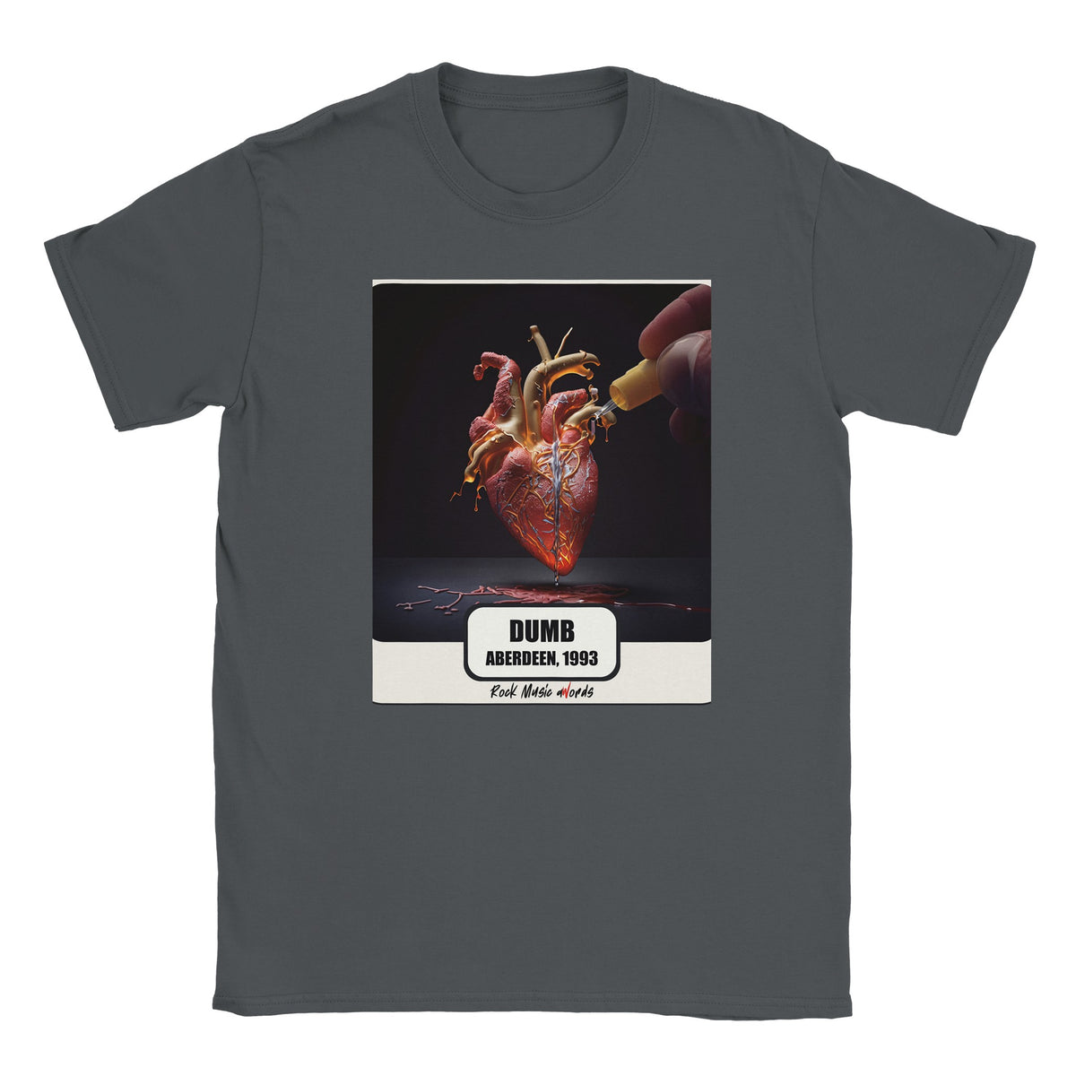 T-shirt grigio antracite con la stampa Rock Art «Dumb – Aberdeen, 1993»